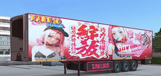 Livery Truckers of Europe 3
